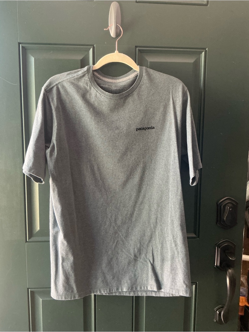 Patagonia Men's Short-Sleeve Logo Crew Tee in Heather Green
